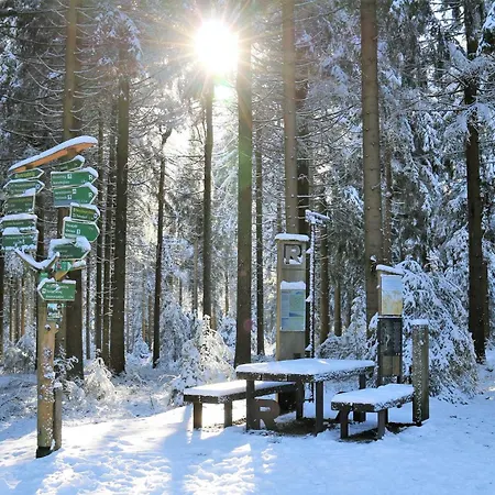 Tannenblick 1-2 Appartamento *