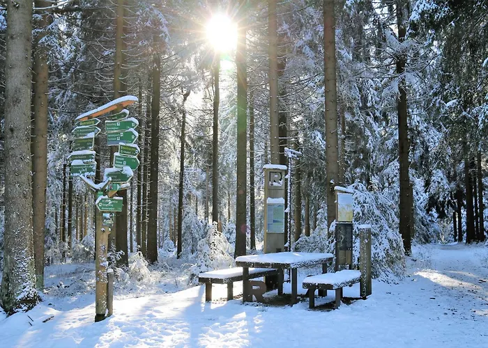 Tannenblick 1-2 Appartement *